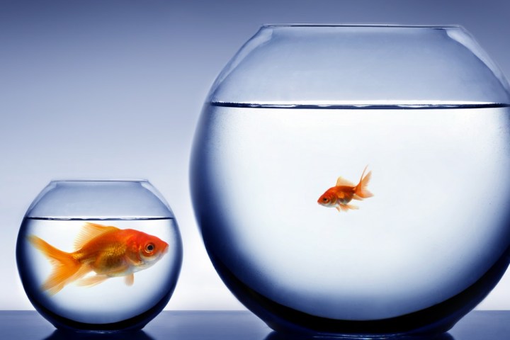 Why comparison is your worst&nbsp;enemy