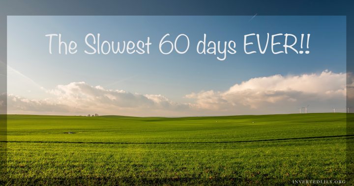 The slowest 60 days&nbsp;EVER!